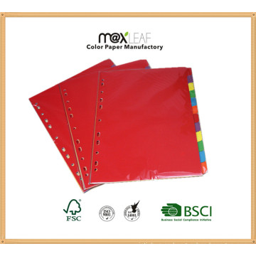 160GSM A4 Tamaño Color Papel Índice Tab Archivo Divider